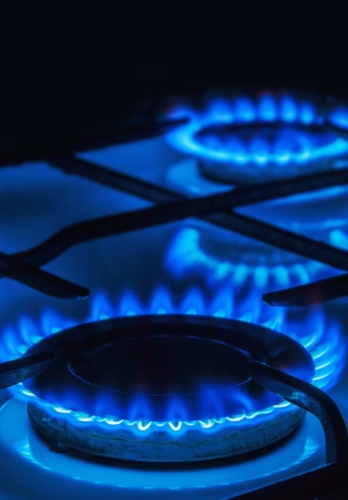 Contrôle installation gaz d un logement