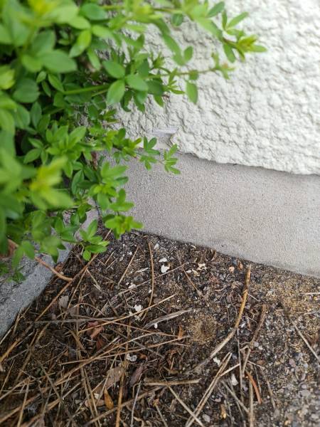 Amiante en façade ? Repérage amiante  département 76