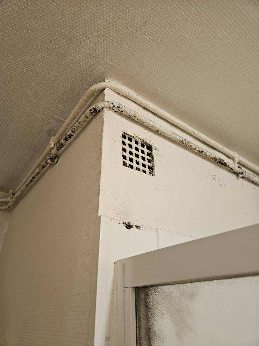 Diagnostic amiante avant travaux