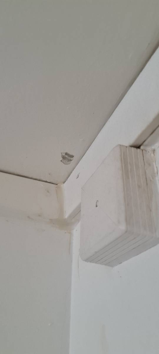 Repérage amiante avant travaux de réfection des sanitaires et électrique pour LOGEO SEINE