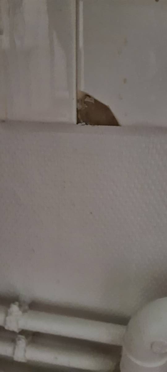 Repérage amiante avant travaux de réfection des sanitaires et électrique pour LOGEO SEINE