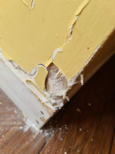 Prélèvement amiante avant travaux - Normandie